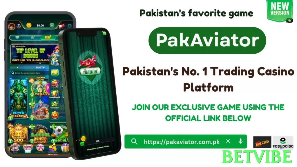 Betvibe Pakistan - 3